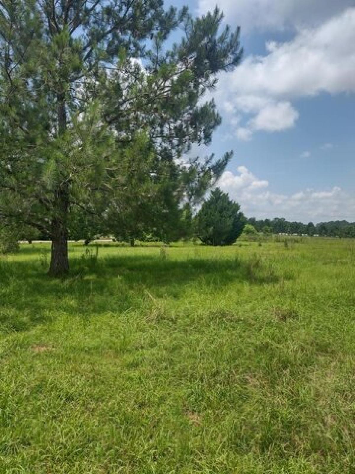 Picture of Residential Land For Sale in Moultrie, Georgia, United States