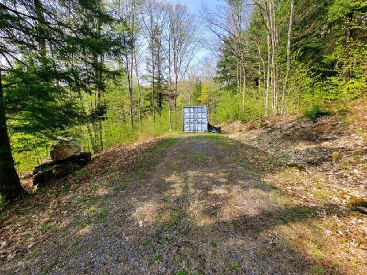 Picture of Residential Land For Sale in Marlboro, Vermont, United States