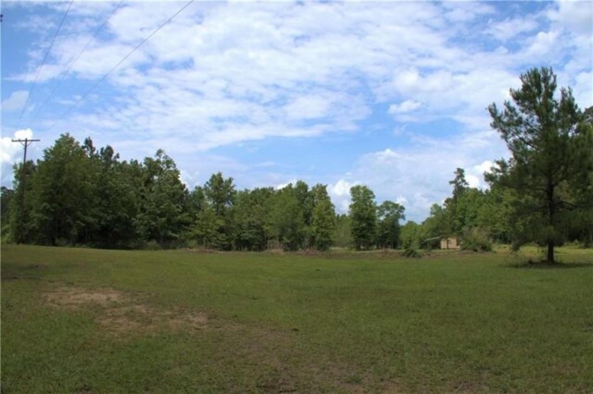 Picture of Residential Land For Sale in Roseland, Louisiana, United States