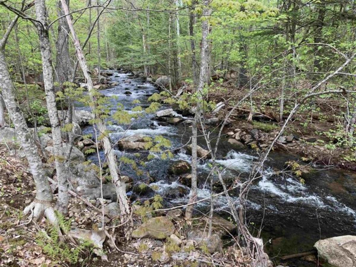 Picture of Home For Sale in Freedom, New Hampshire, United States