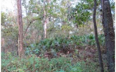 Residential Land For Sale in Live Oak, Florida