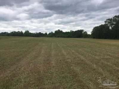 Residential Land For Sale in Molino, Florida