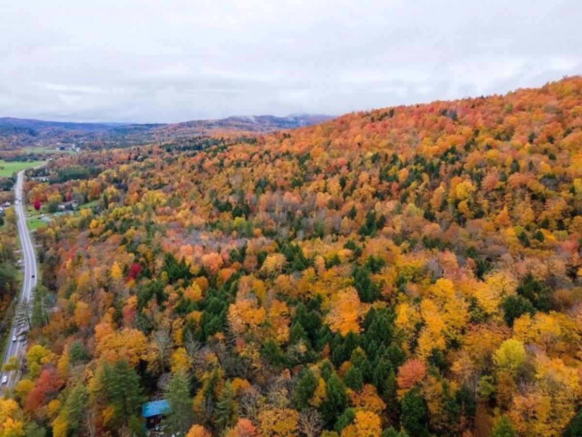 Picture of Residential Land For Sale in Stowe, Vermont, United States