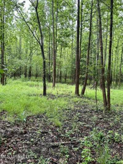 Residential Land For Sale in Como, Mississippi