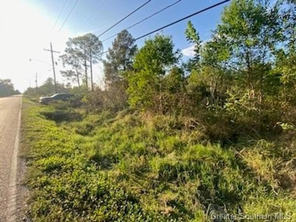 Picture of Residential Land For Sale in Saint Bernard, Louisiana, United States