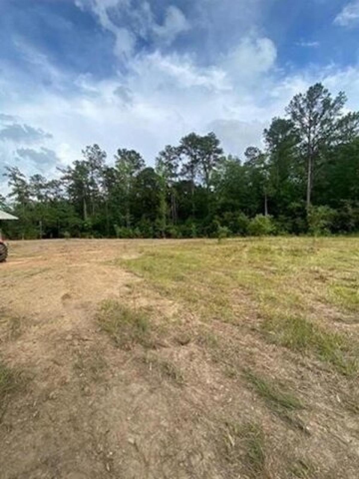 Picture of Residential Land For Sale in Covington, Louisiana, United States