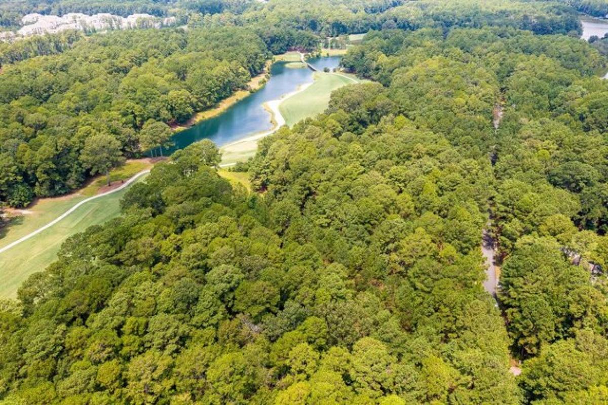 Picture of Residential Land For Sale in Richmond Hill, Georgia, United States