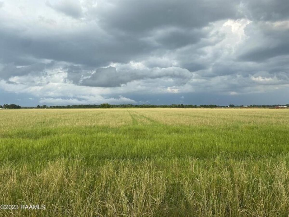 Picture of Residential Land For Sale in Duson, Louisiana, United States