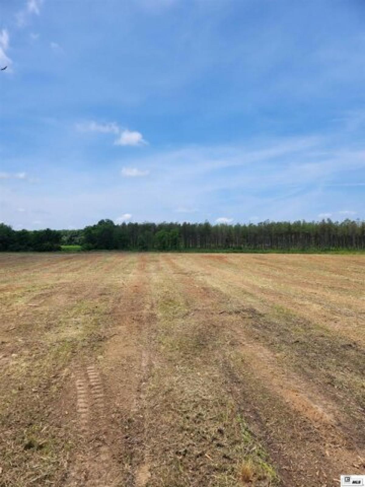 Picture of Residential Land For Sale in Mangham, Louisiana, United States