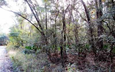 Residential Land For Sale in Live Oak, Florida