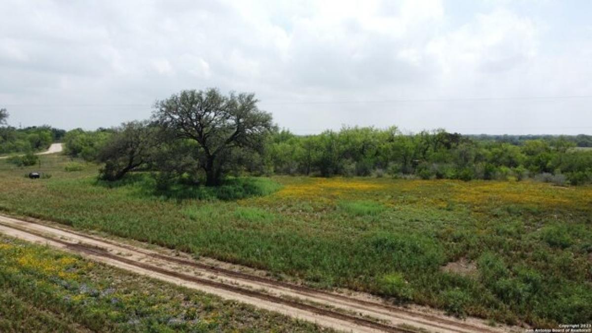 Picture of Residential Land For Sale in Hondo, Texas, United States