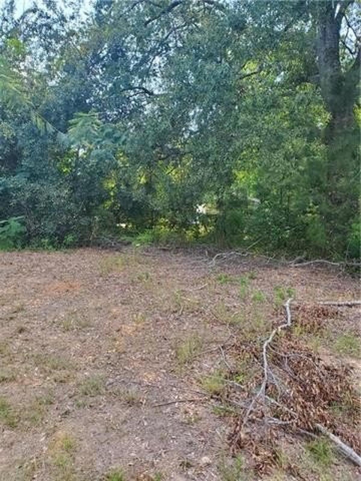 Picture of Residential Land For Sale in Natchitoches, Louisiana, United States