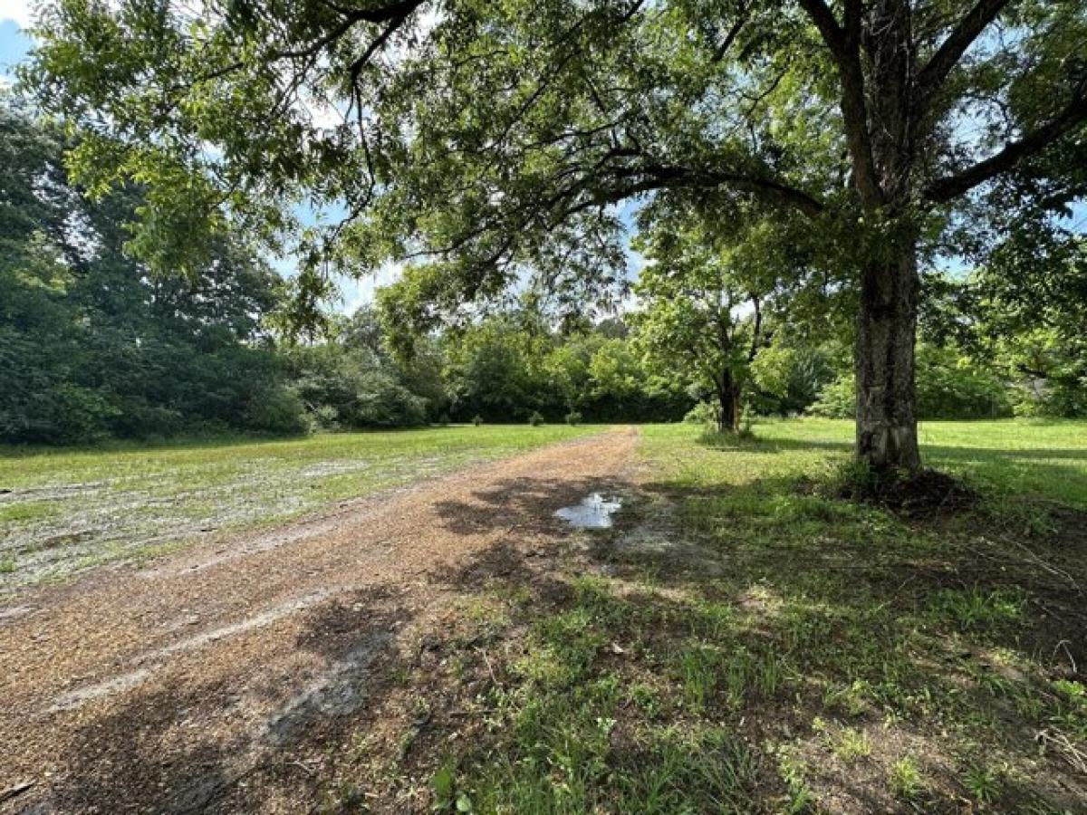 Picture of Residential Land For Sale in Blythe, Georgia, United States