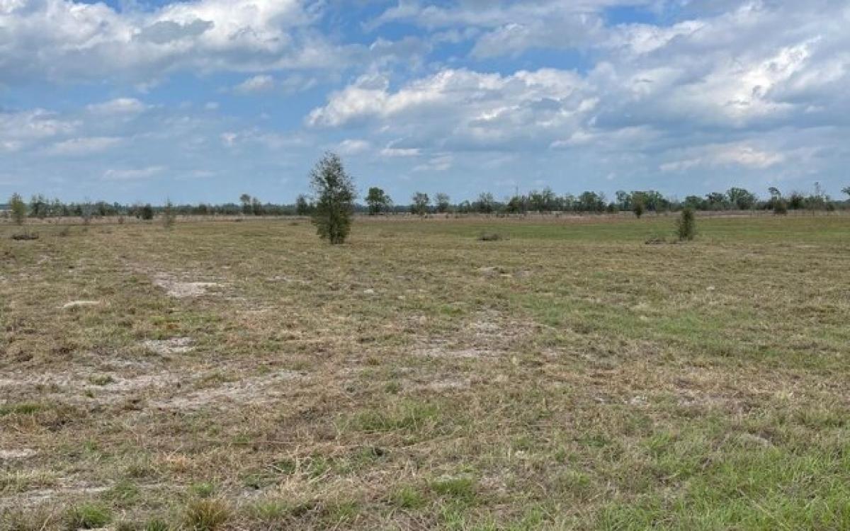 Picture of Residential Land For Sale in Wellborn, Florida, United States