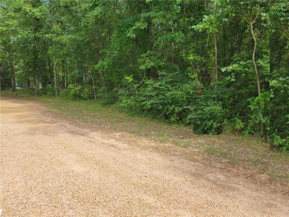 Picture of Residential Land For Sale in Colfax, Louisiana, United States