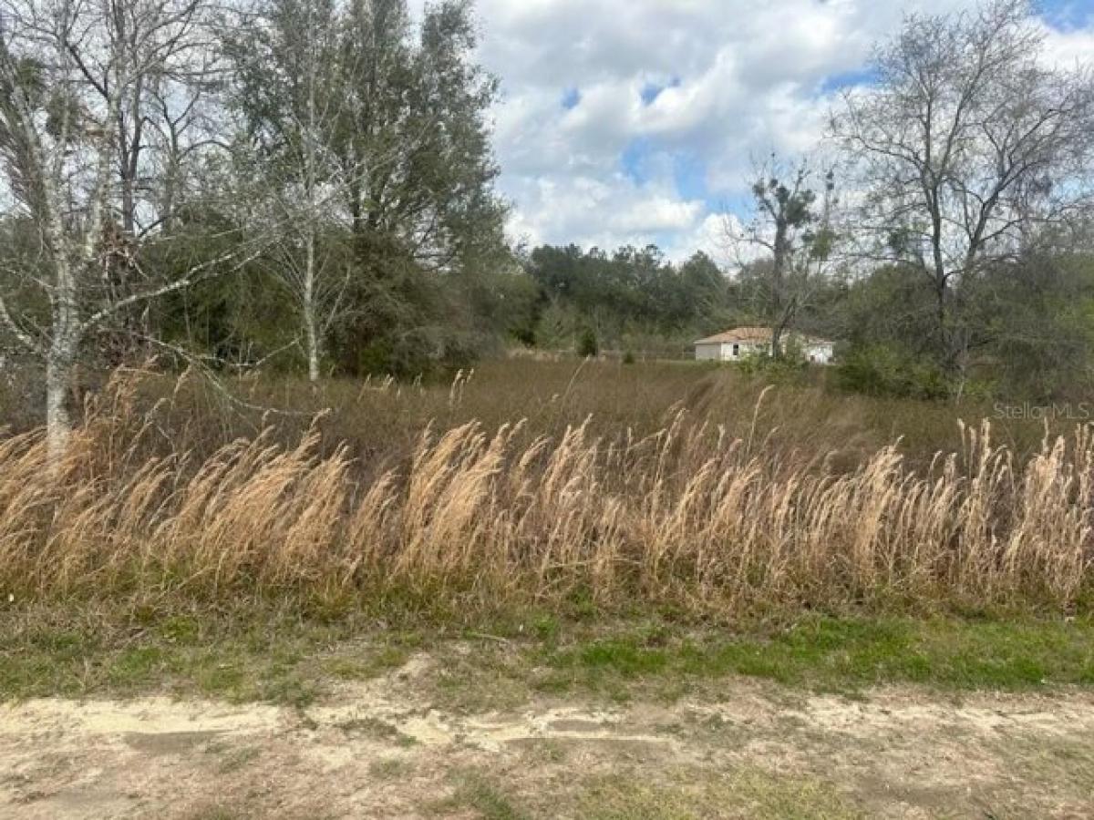 Picture of Residential Land For Sale in Citra, Florida, United States