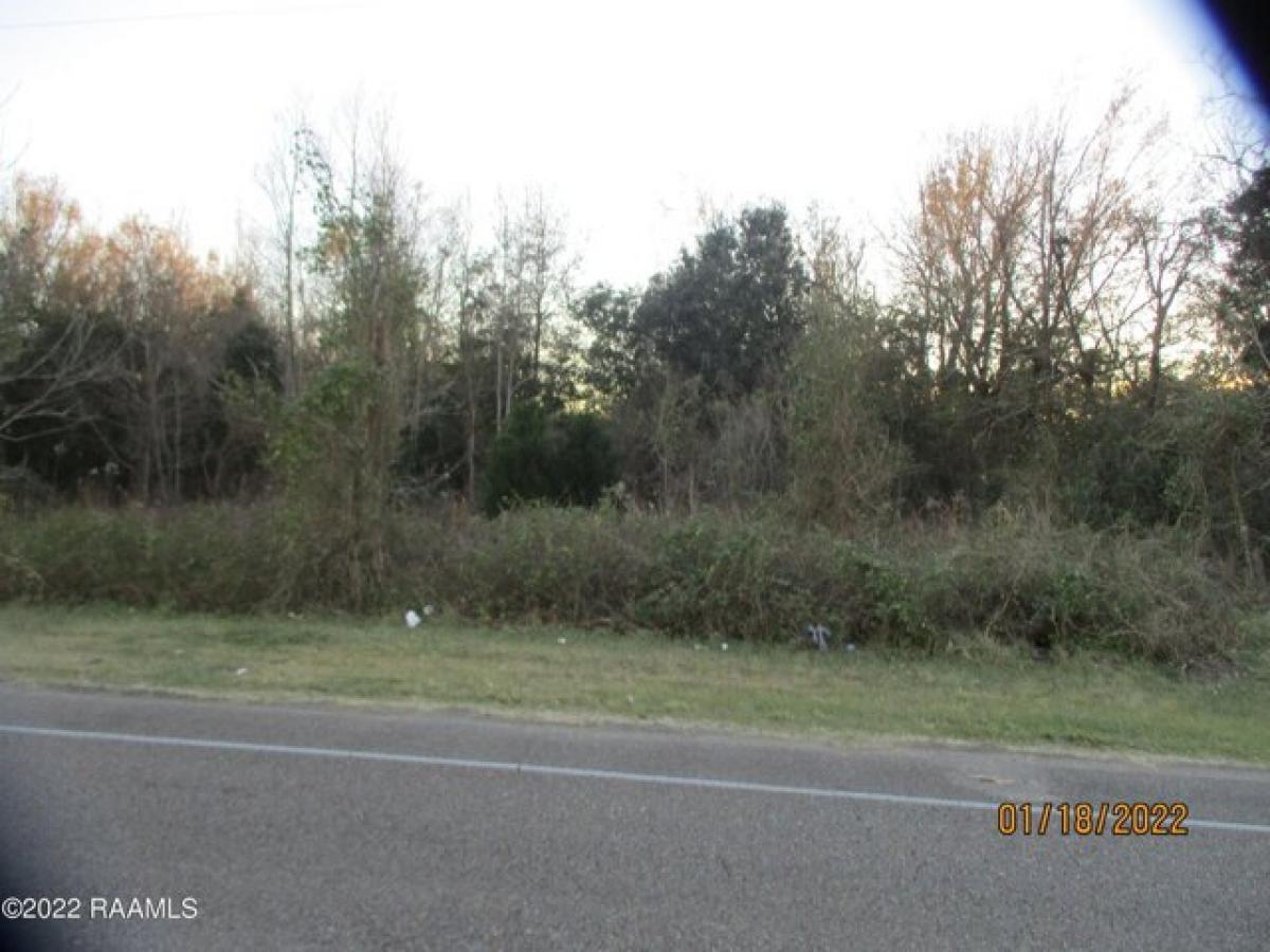 Picture of Residential Land For Sale in New Iberia, Louisiana, United States