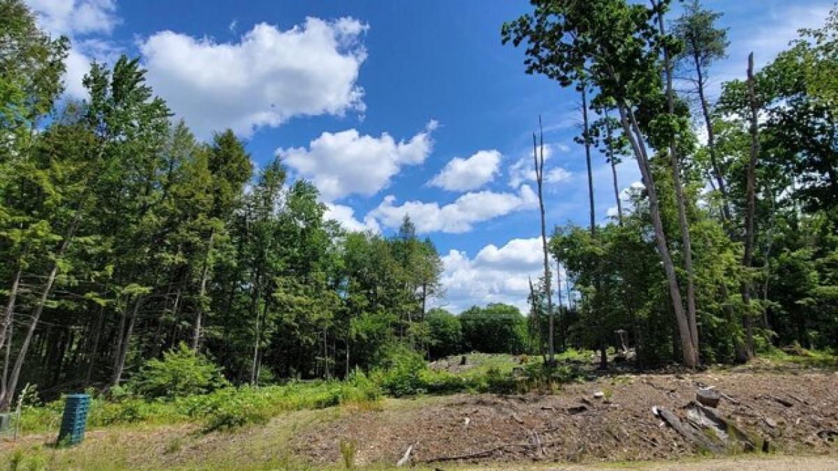 Picture of Residential Land For Sale in Danville, New Hampshire, United States