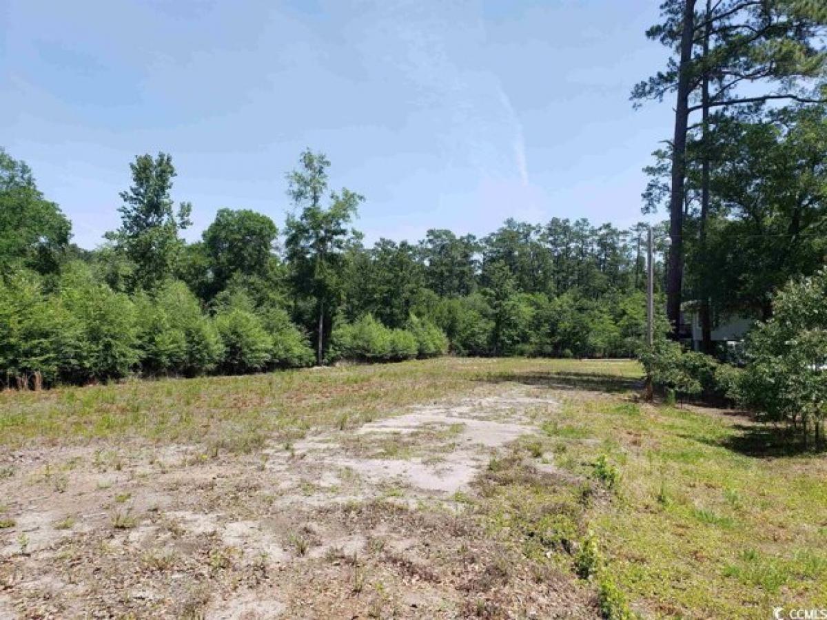 Picture of Residential Land For Sale in Conway, South Carolina, United States