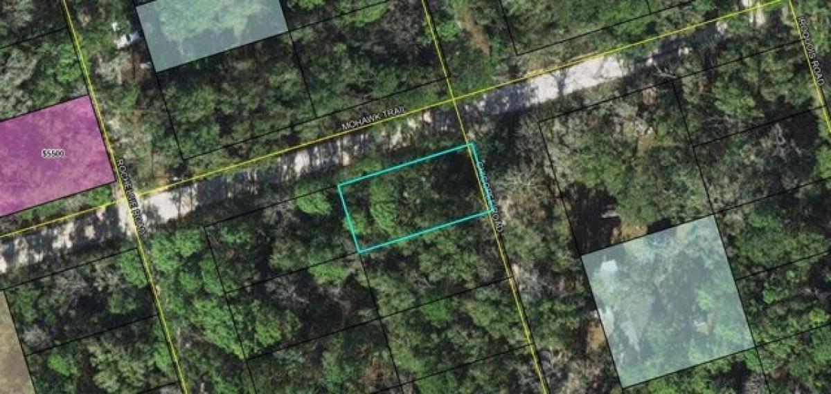 Picture of Residential Land For Sale in Crawfordville, Florida, United States