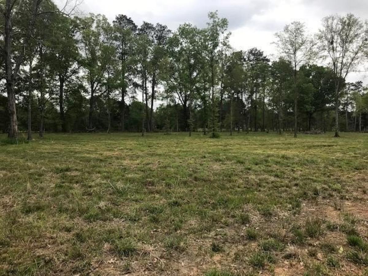 Picture of Residential Land For Sale in Center Point, Louisiana, United States