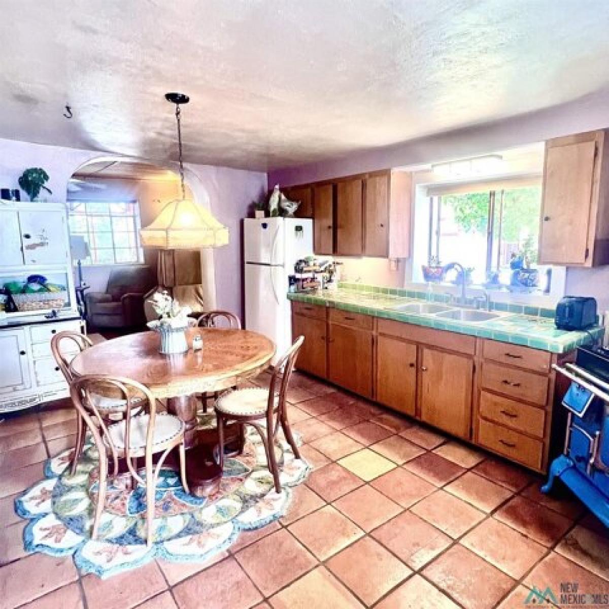 Picture of Home For Sale in Hillsboro, New Mexico, United States