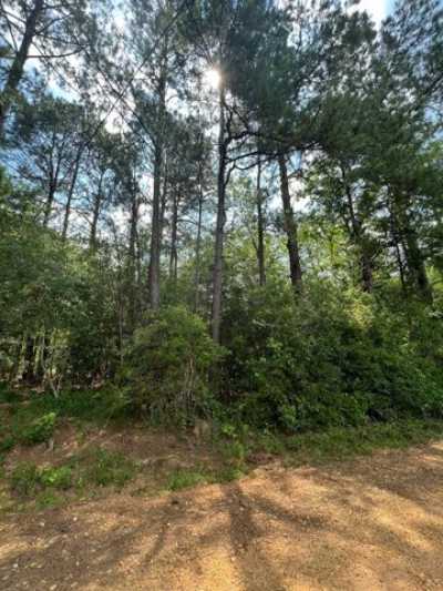 Residential Land For Sale in Magnolia, Mississippi