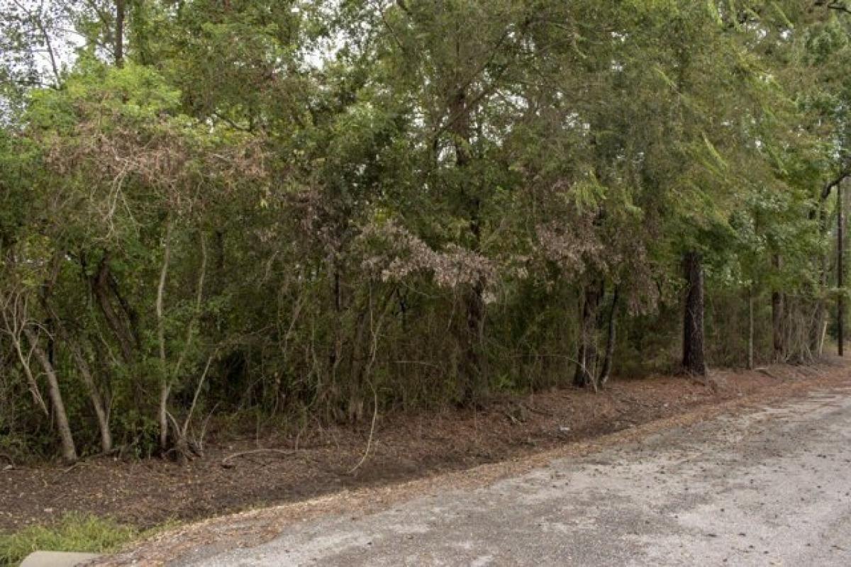 Picture of Residential Land For Sale in Westlake, Louisiana, United States