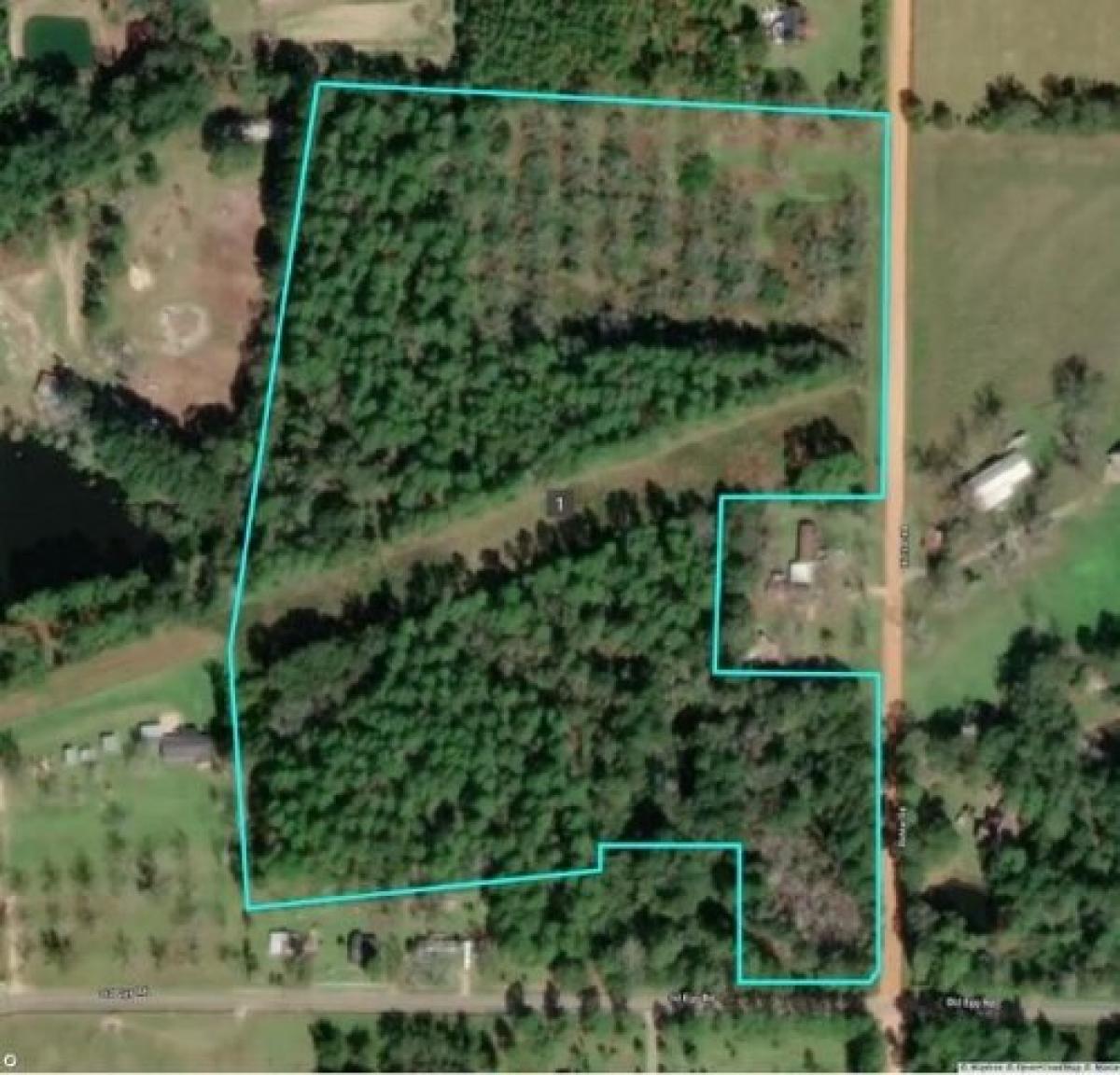 Picture of Residential Land For Sale in Cairo, Georgia, United States