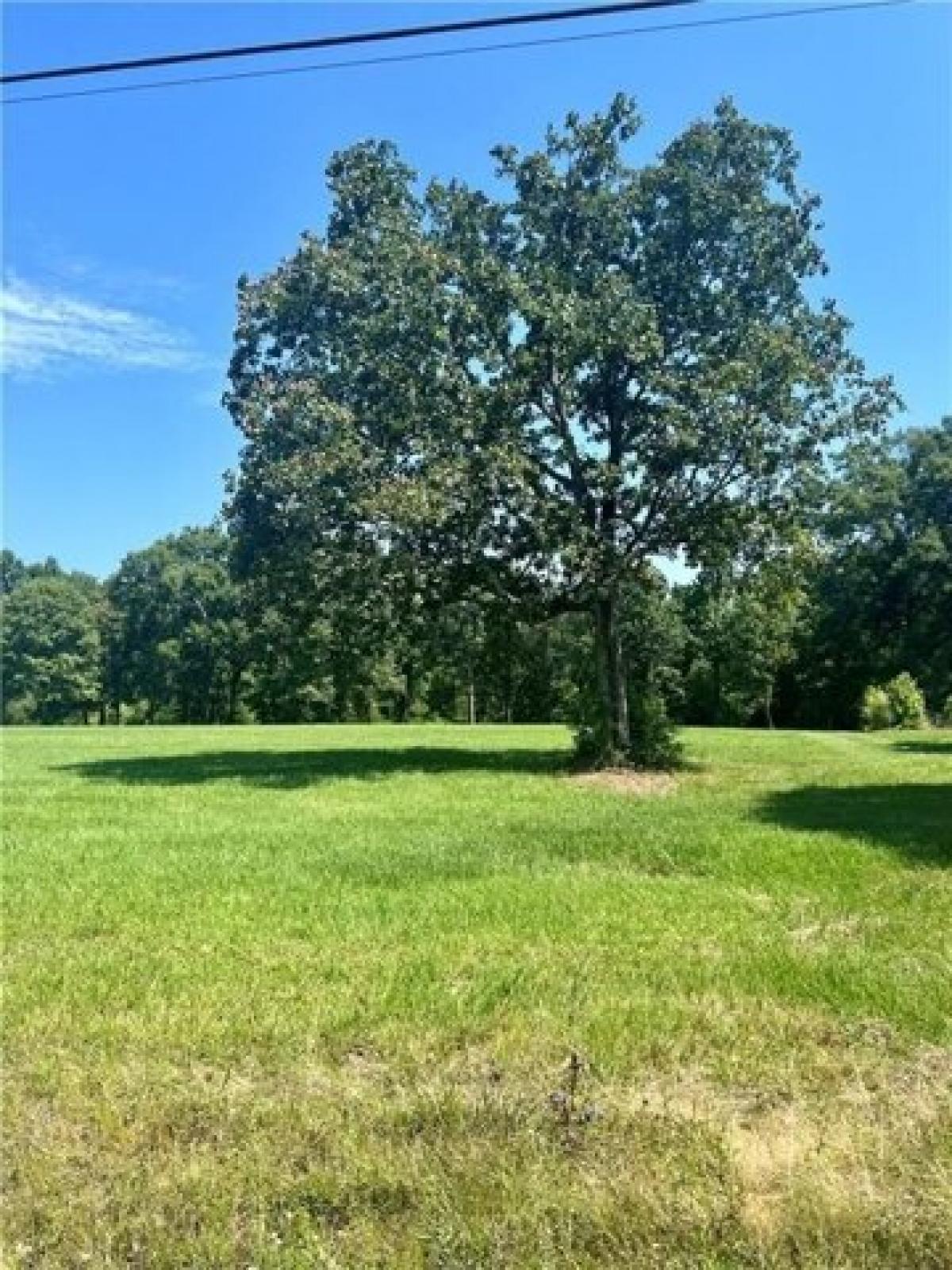 Picture of Residential Land For Sale in Loranger, Louisiana, United States