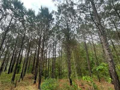 Residential Land For Sale in 