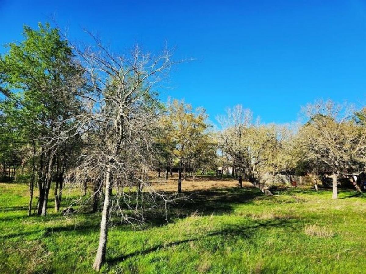 Picture of Residential Land For Sale in Smithville, Texas, United States