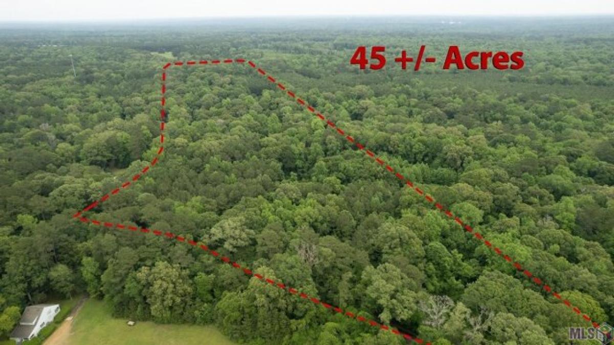 Picture of Residential Land For Sale in Saint Francisville, Louisiana, United States