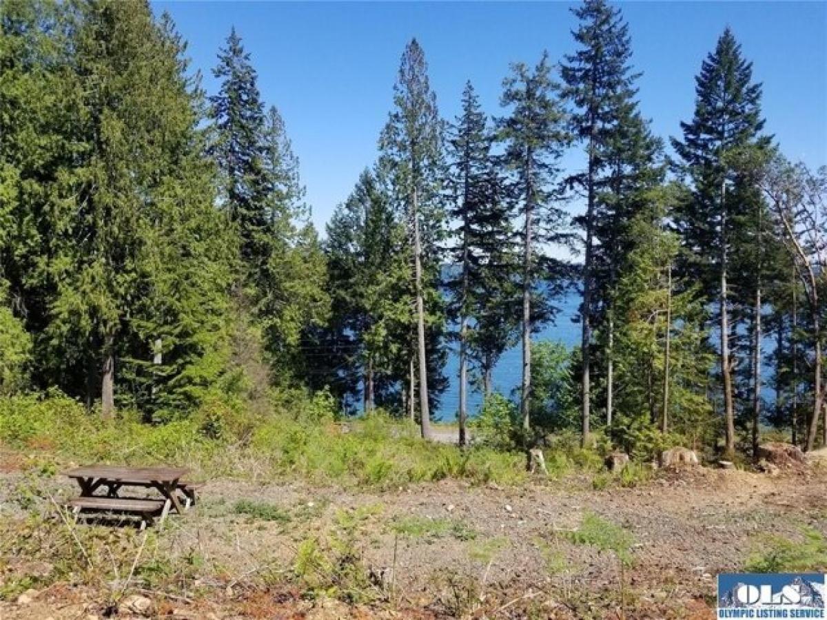 Picture of Residential Land For Sale in Brinnon, Washington, United States
