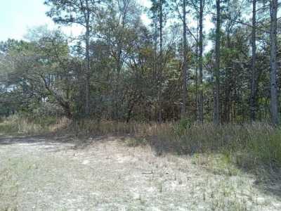 Residential Land For Sale in Beverly Hills, Florida