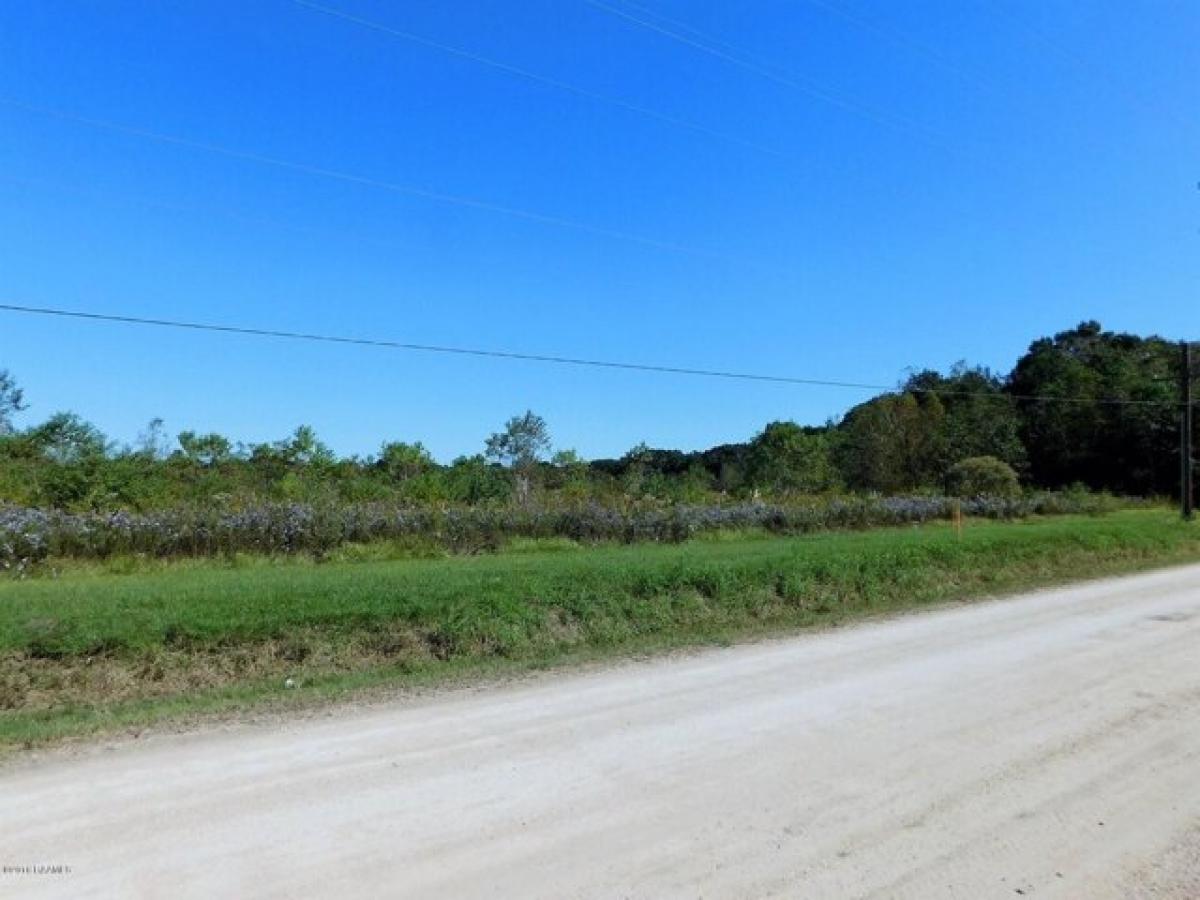 Picture of Residential Land For Sale in Duson, Louisiana, United States