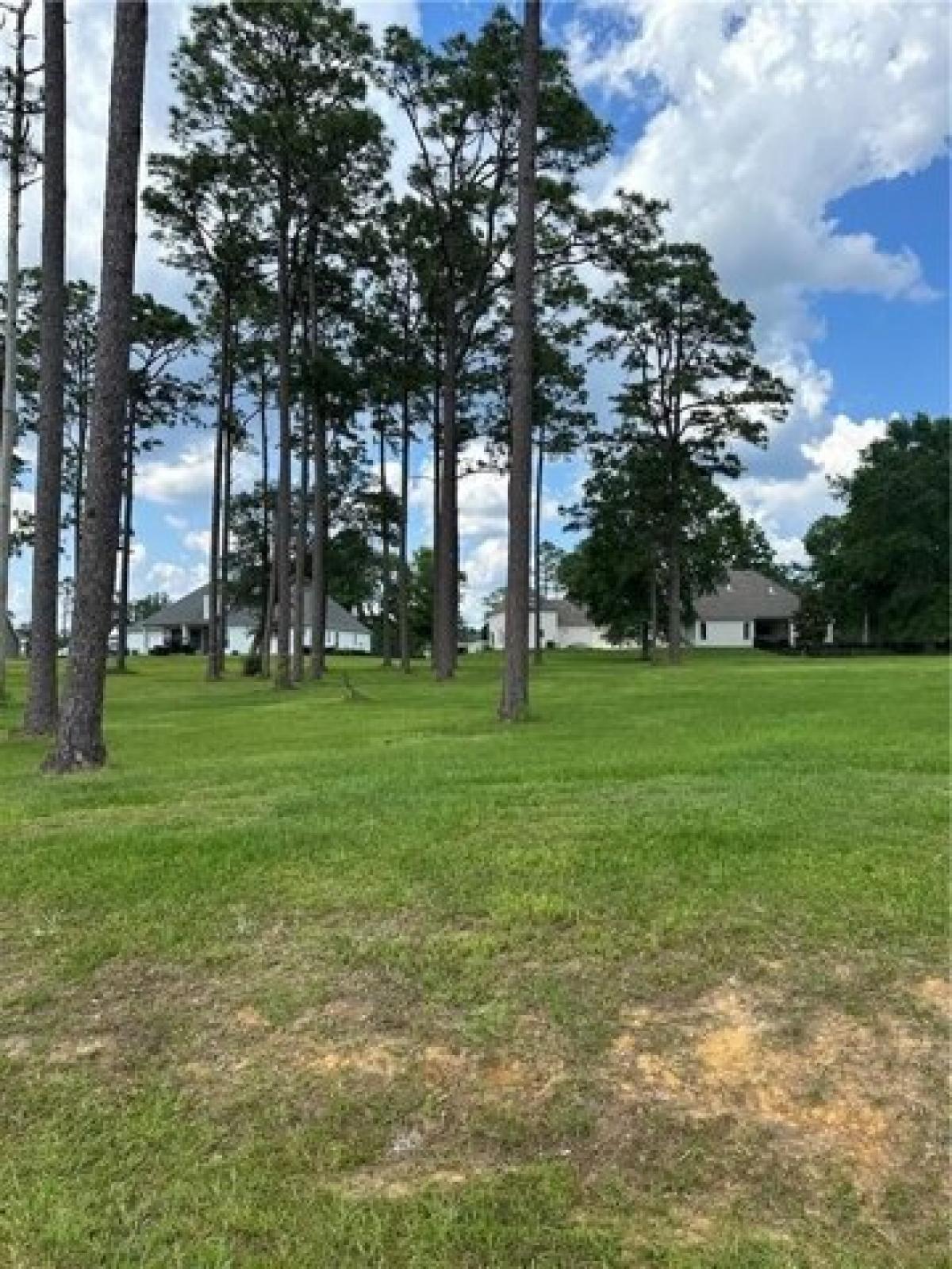 Picture of Residential Land For Sale in Abita Springs, Louisiana, United States