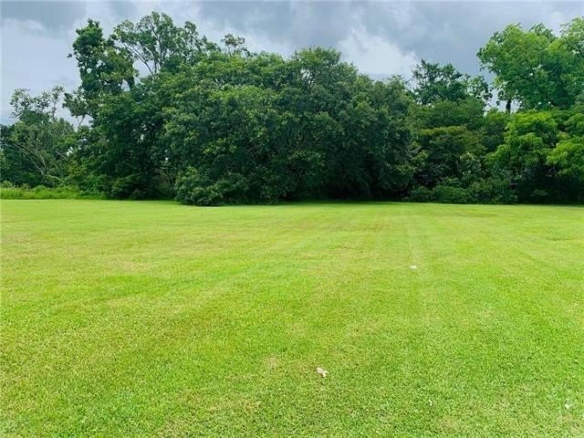 Picture of Residential Land For Sale in Marksville, Louisiana, United States