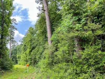 Residential Land For Sale in Silsbee, Texas