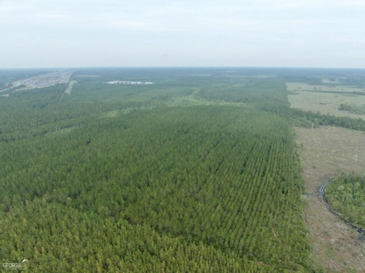 Picture of Residential Land For Sale in Waycross, Georgia, United States