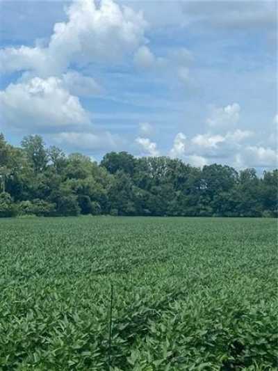 Residential Land For Sale in Marksville, Louisiana