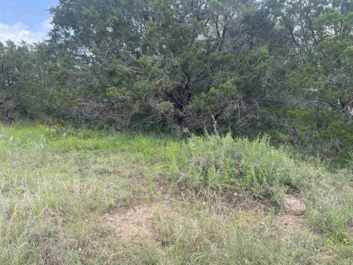 Picture of Residential Land For Sale in Burnet, Texas, United States