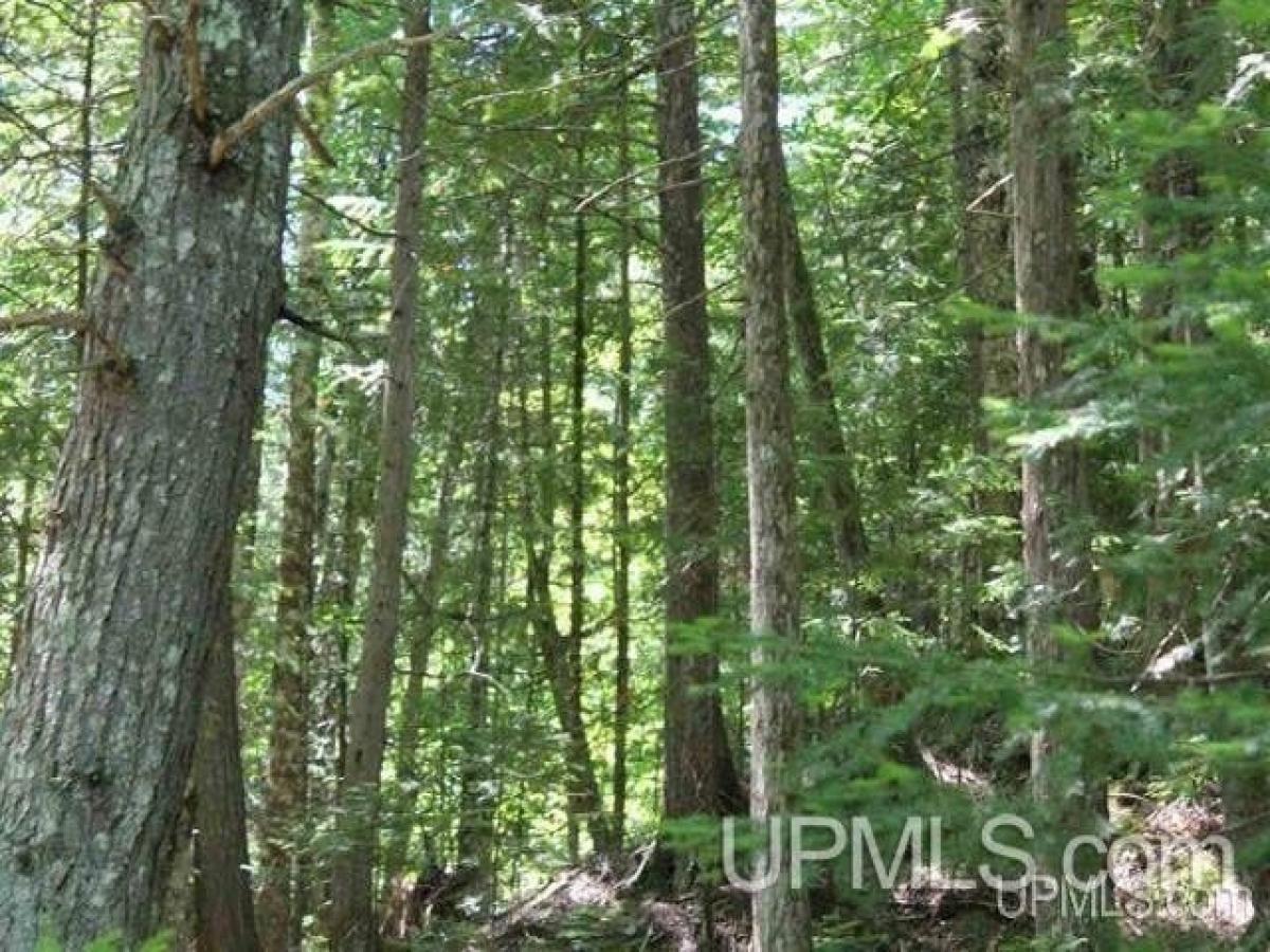 Picture of Residential Land For Sale in Ontonagon, Michigan, United States