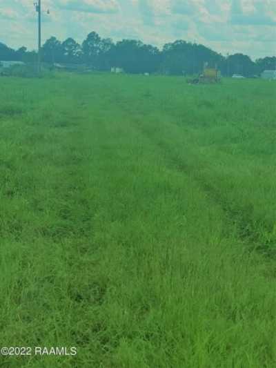 Residential Land For Sale in Opelousas, Louisiana