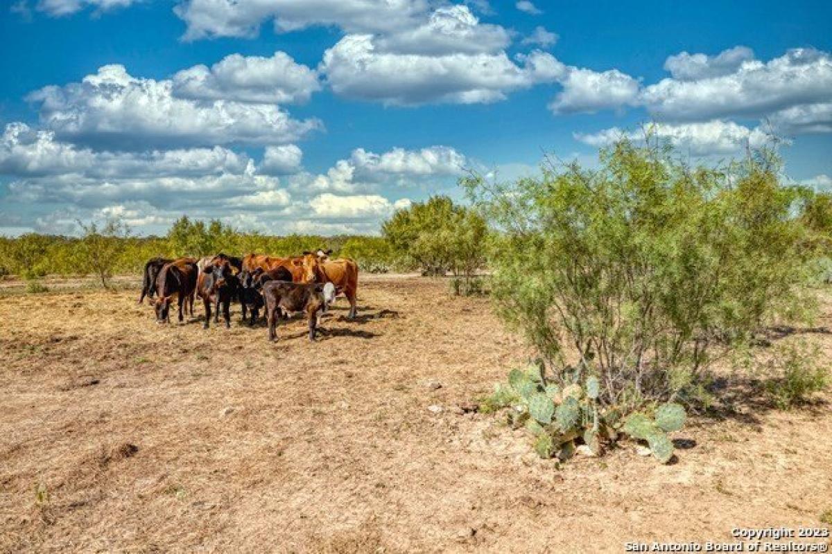 Picture of Residential Land For Sale in Hondo, Texas, United States