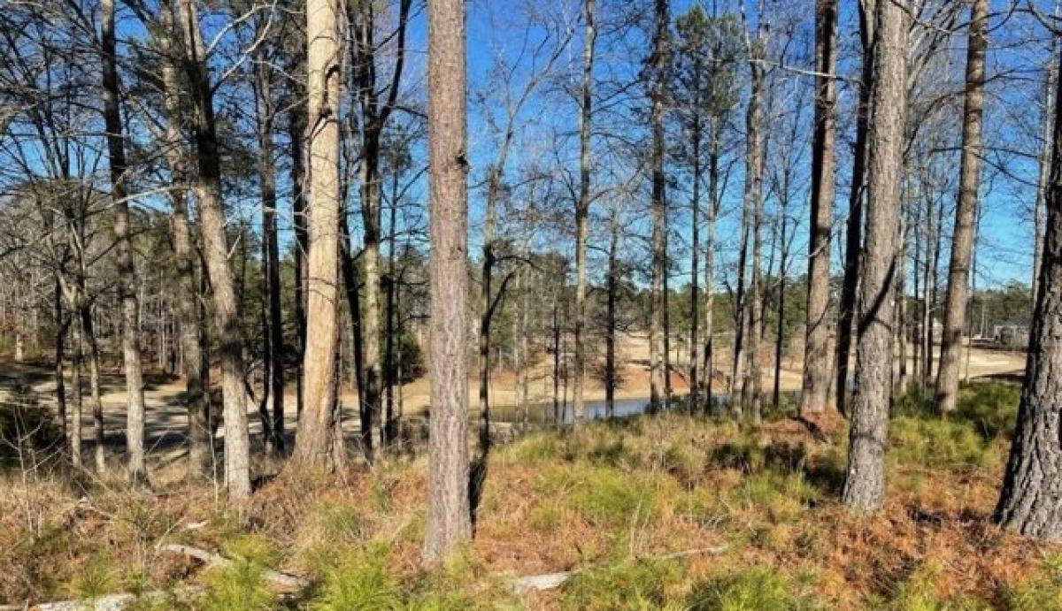 Picture of Residential Land For Sale in North Augusta, South Carolina, United States