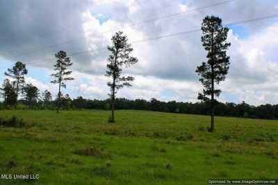 Residential Land For Sale in Poplarville, Mississippi