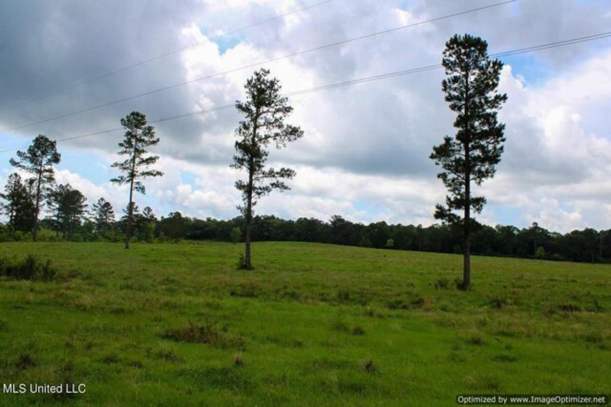 Picture of Residential Land For Sale in Poplarville, Mississippi, United States