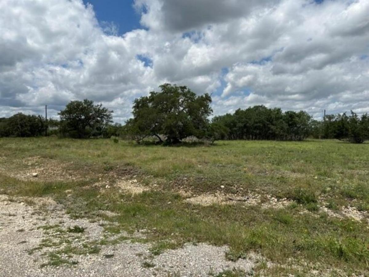 Picture of Residential Land For Sale in Blanco, Texas, United States