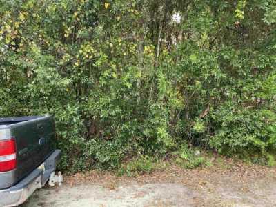 Residential Land For Sale in Orange Beach, Alabama